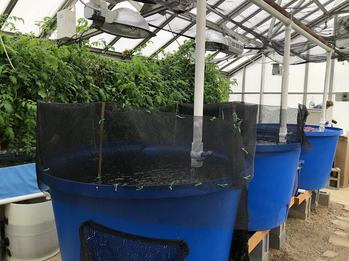 Aquaponics Monitoring System - BGSU Aquaponics