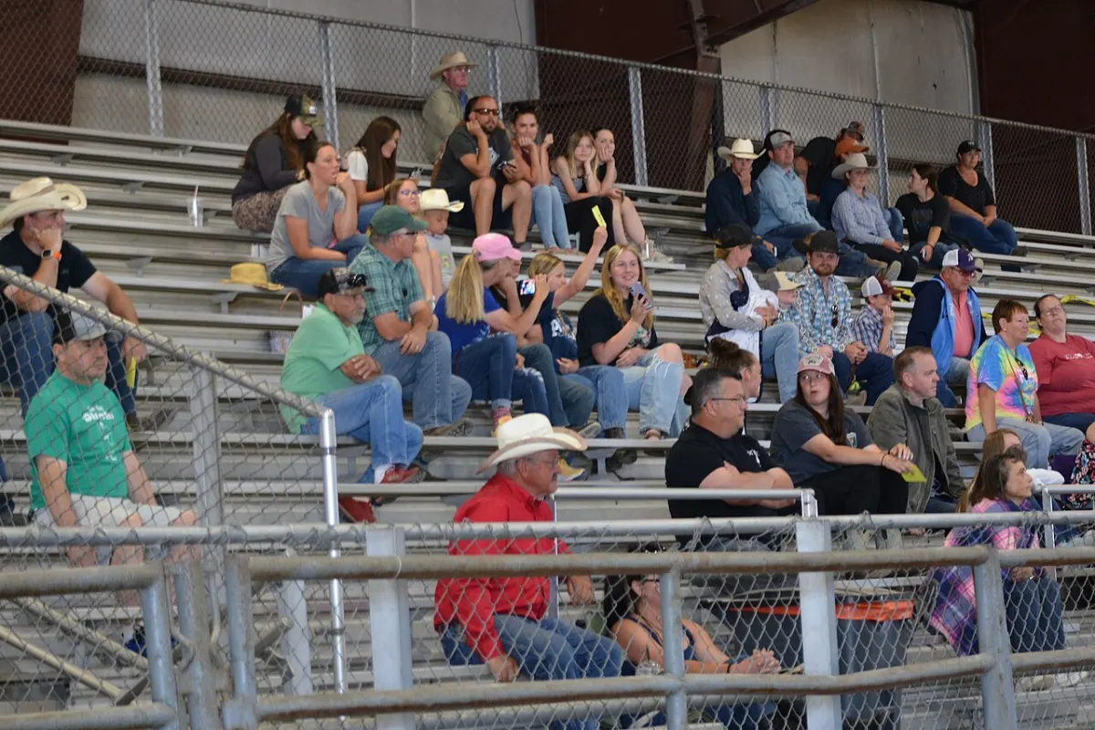 Auction Management System - A young bidder bidding on a wild horse
