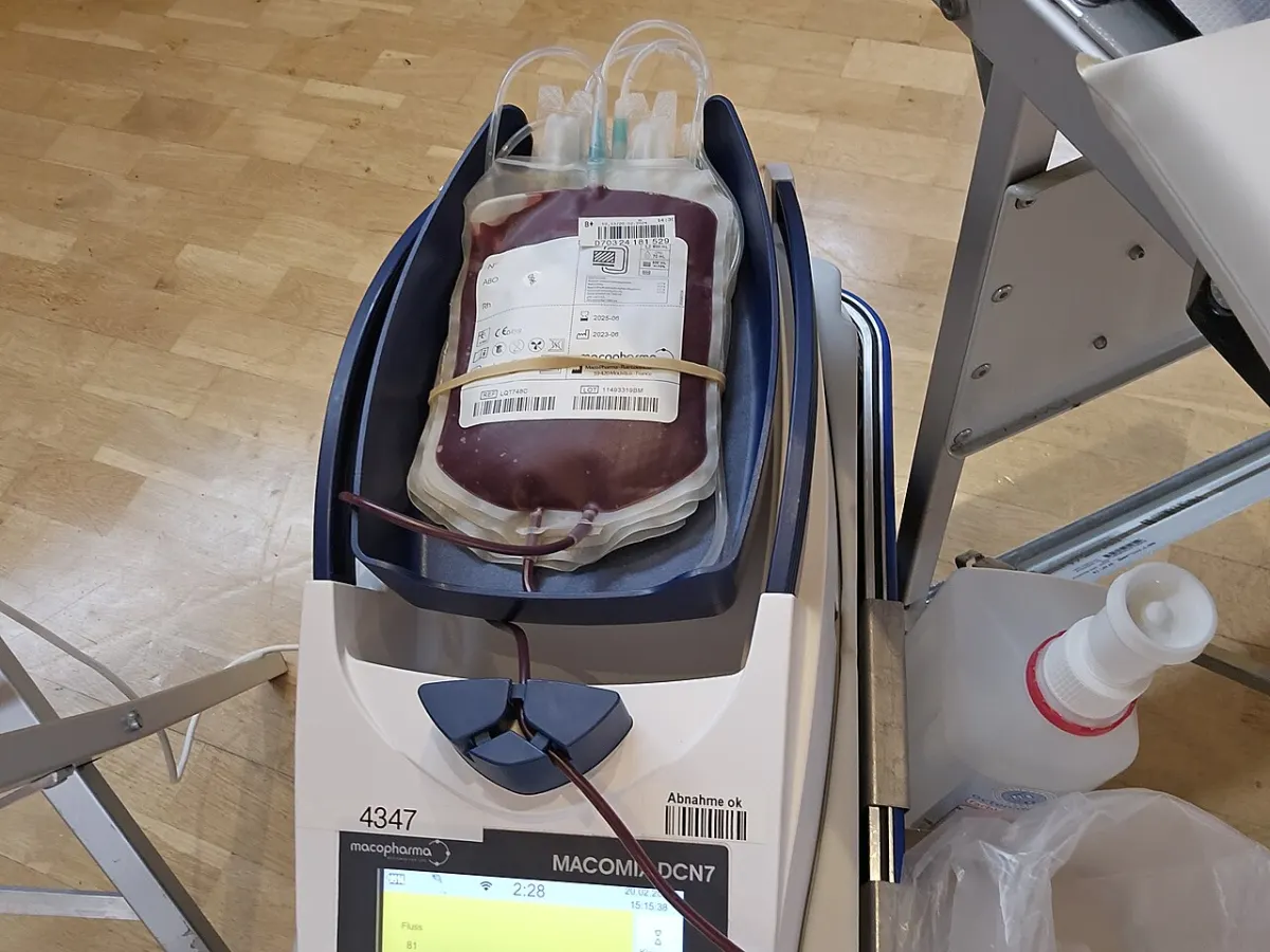 Blood Donor Finder App project