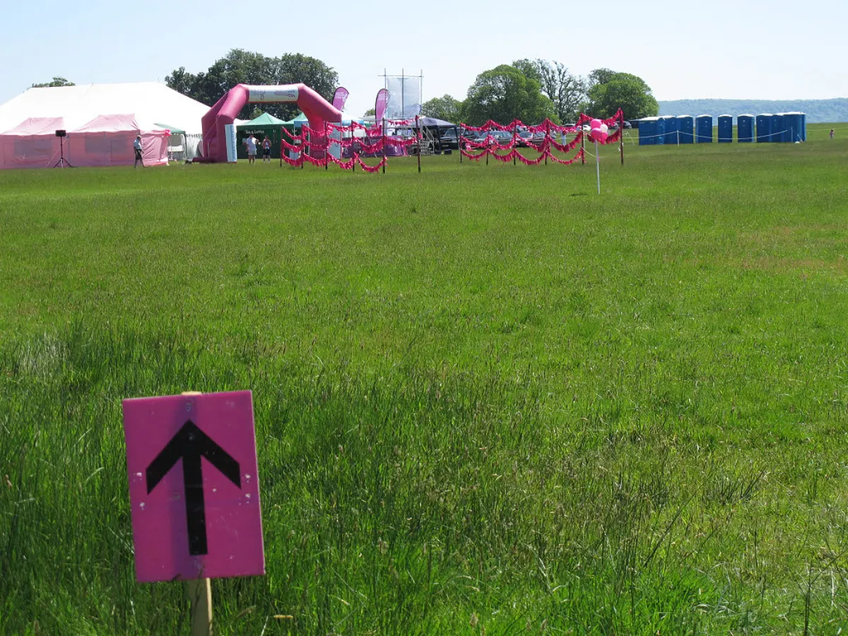 Breast Cancer Detection - Pink Ribbon Walk, almost there