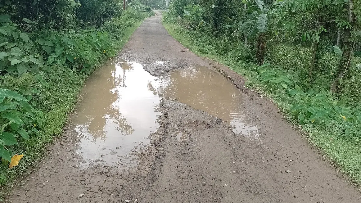 Citizen Grievance Portal - Potholes on road