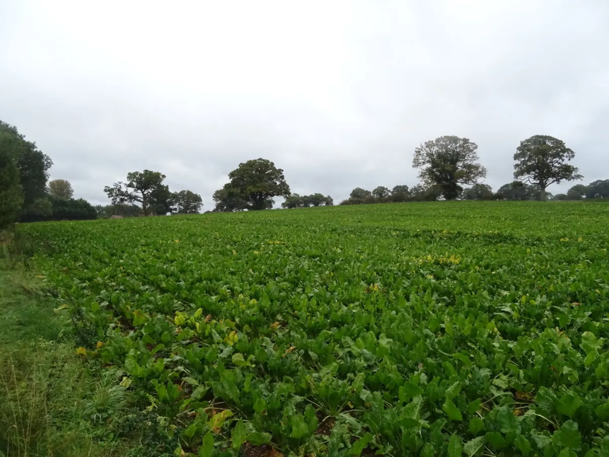 Crop Management System project