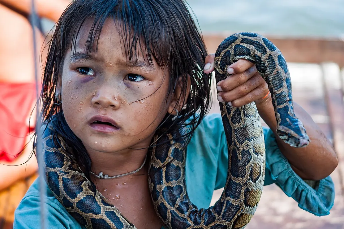 Expense Manager Desktop App - Tonle Sap Siem Reap Cambodia Girl-begging-for-money-with-snake-01