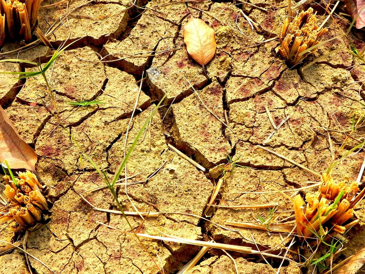 Farm Management System project