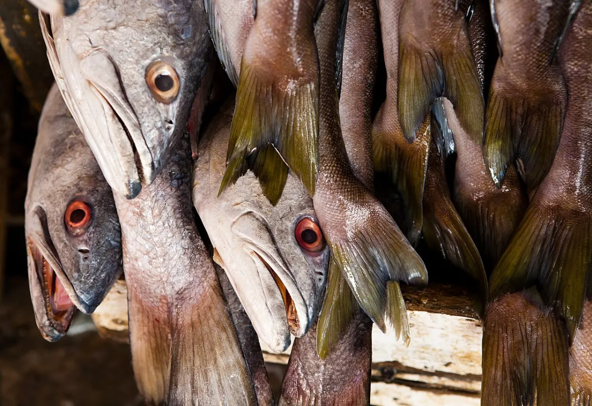 Fish Market Management System project