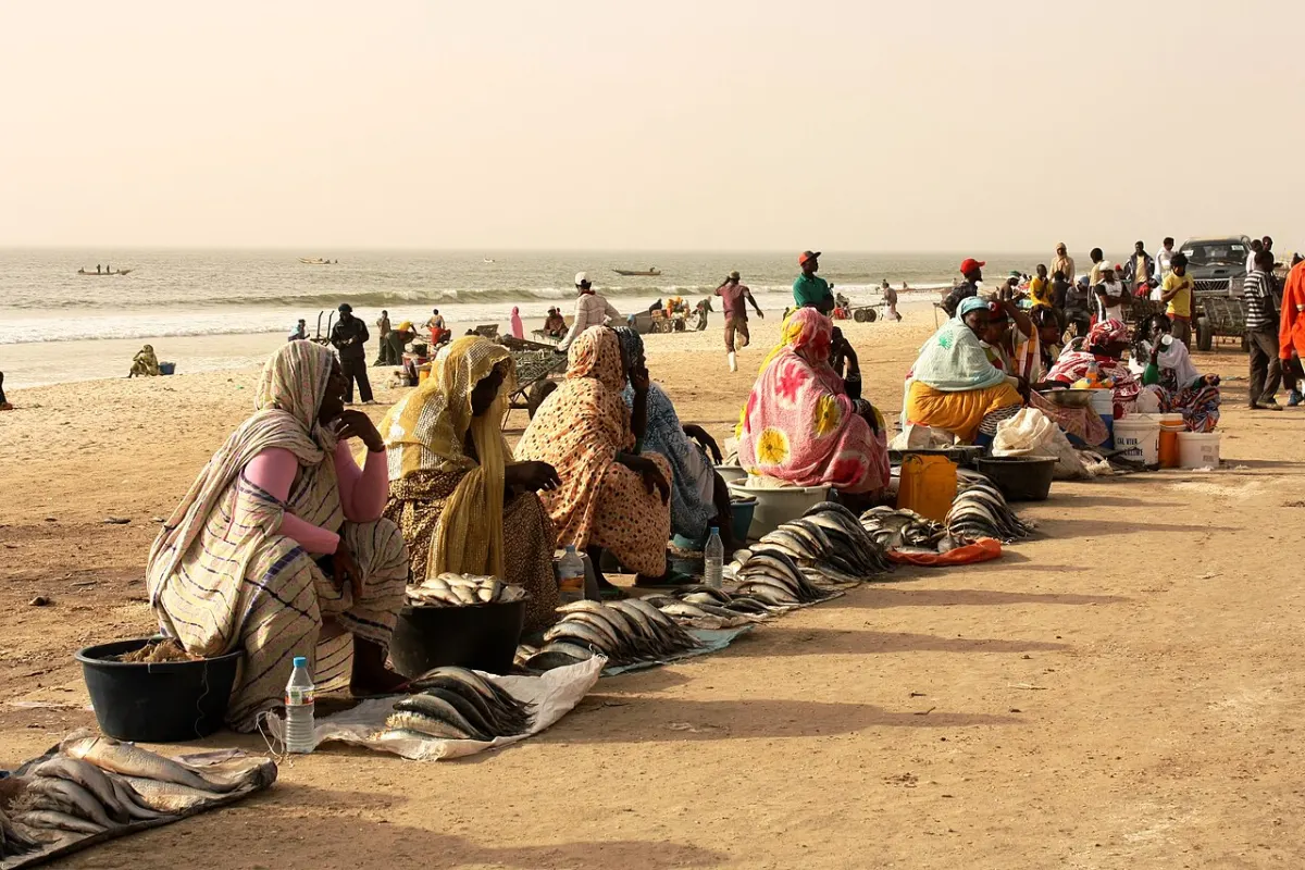 Fish Market Management System - Fish market in Nouakchott - Mauritania