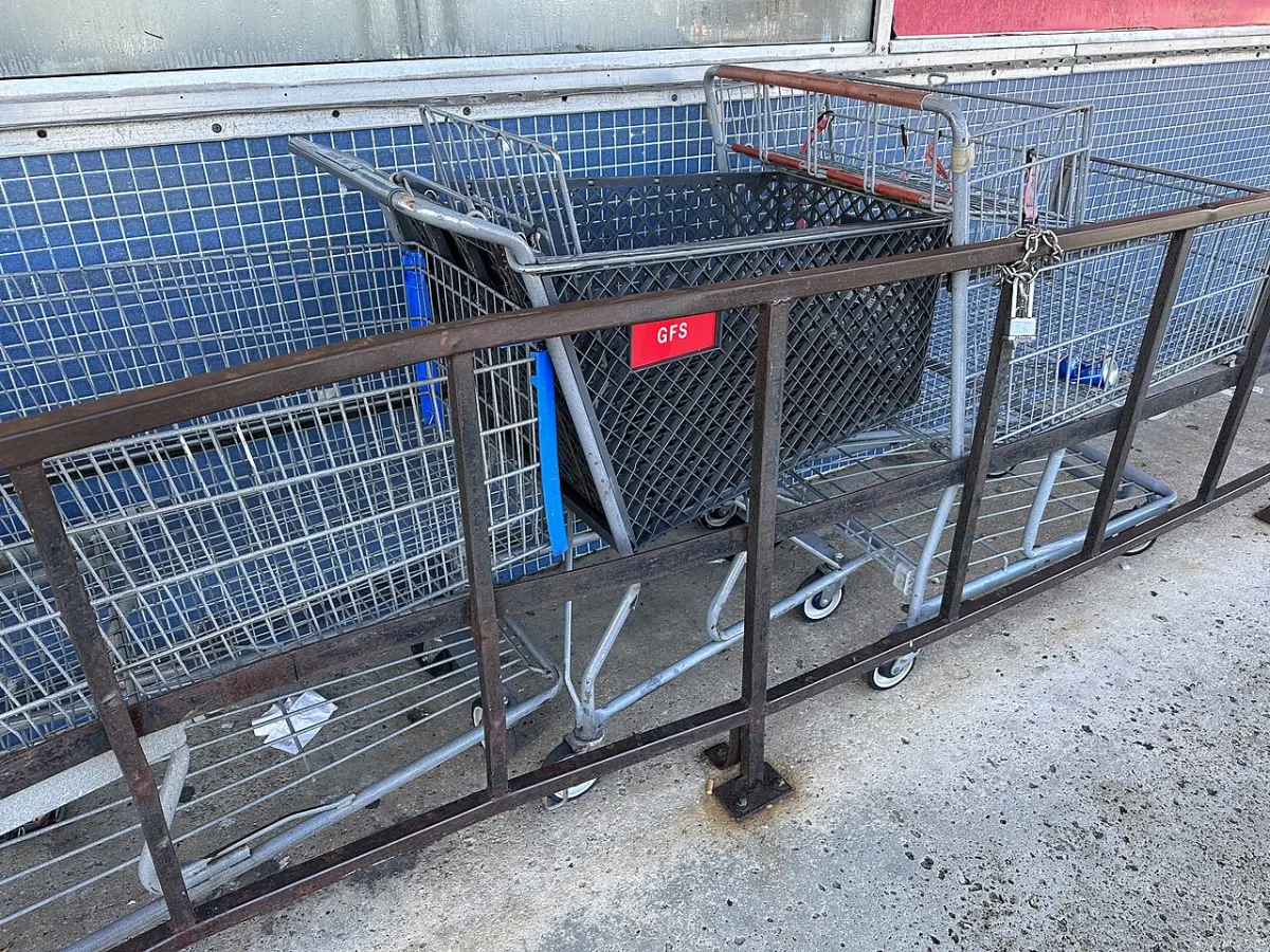 Grocery List App - Stray GFS Shopping Cart at Sabor Tropical Supermarket, Little Havana Miami