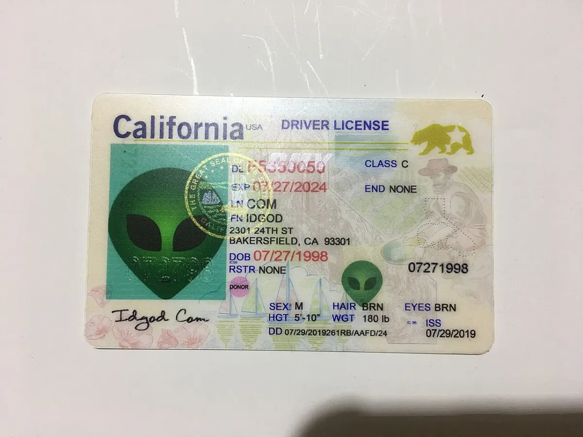 ID Card Management System - California fake id card driver license