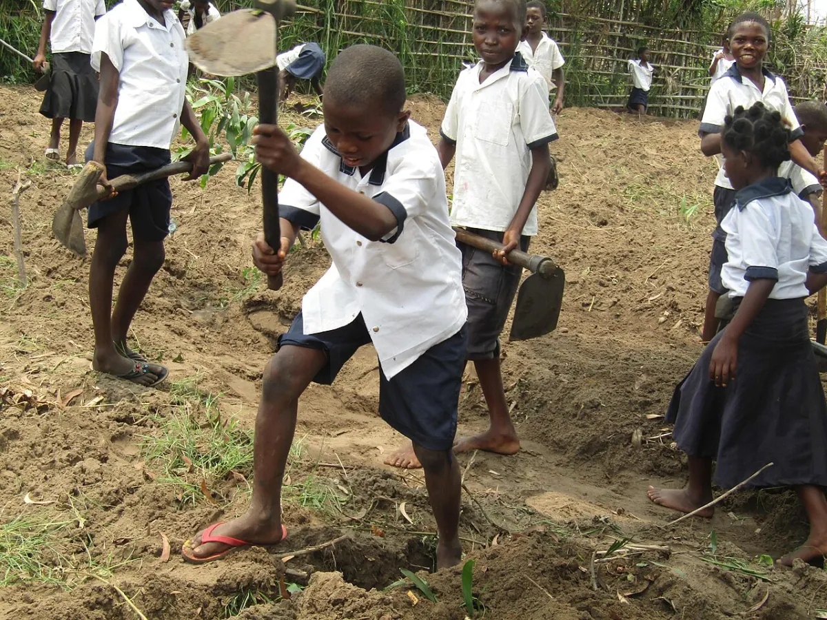 Kids Learning App - Children learning the cultivation of land at school2