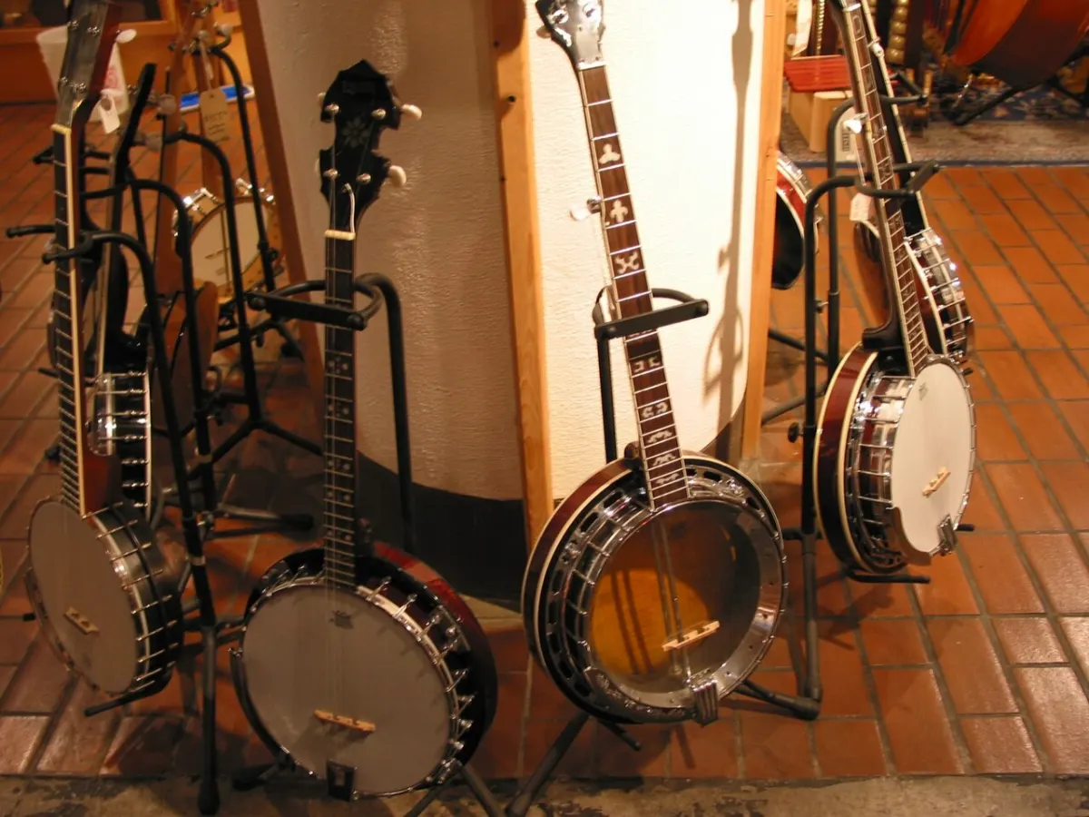 Music Store Management System - Banjos - musical instrument store at San Francisco