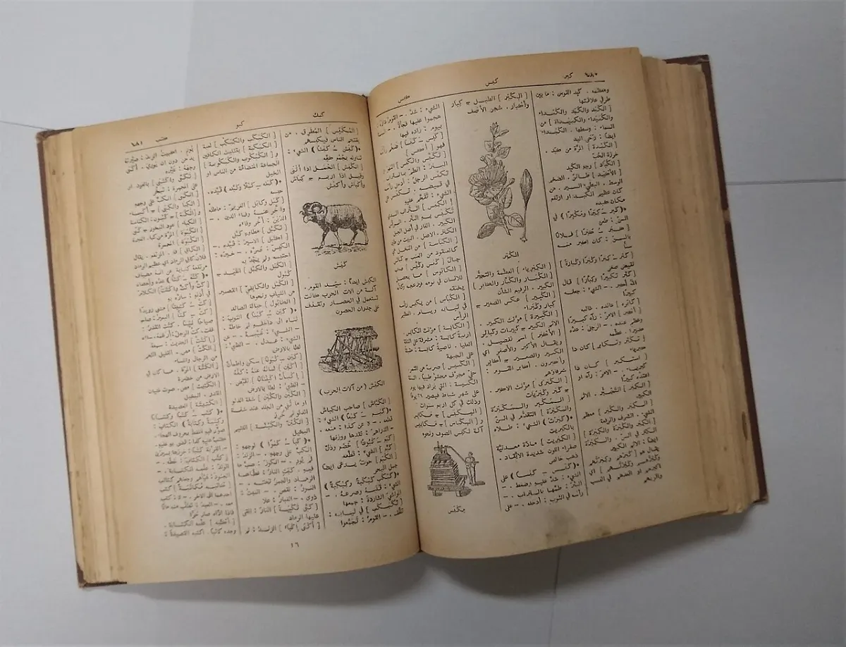 Offline Dictionary App - Arabic dictionary