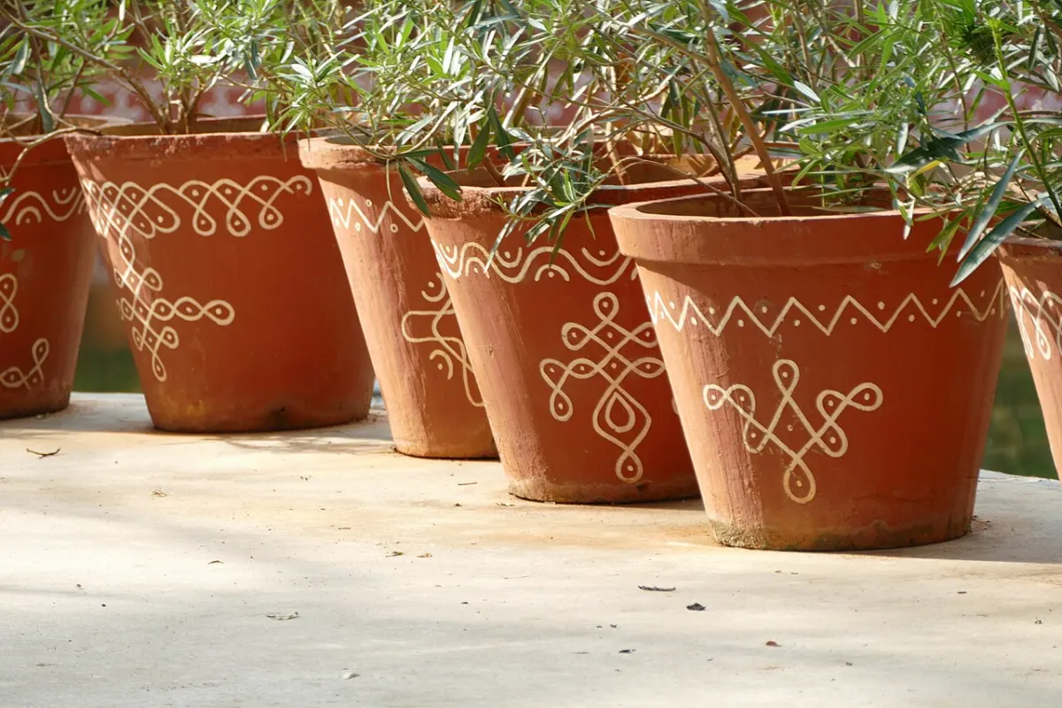 Online Plant Nursery Store