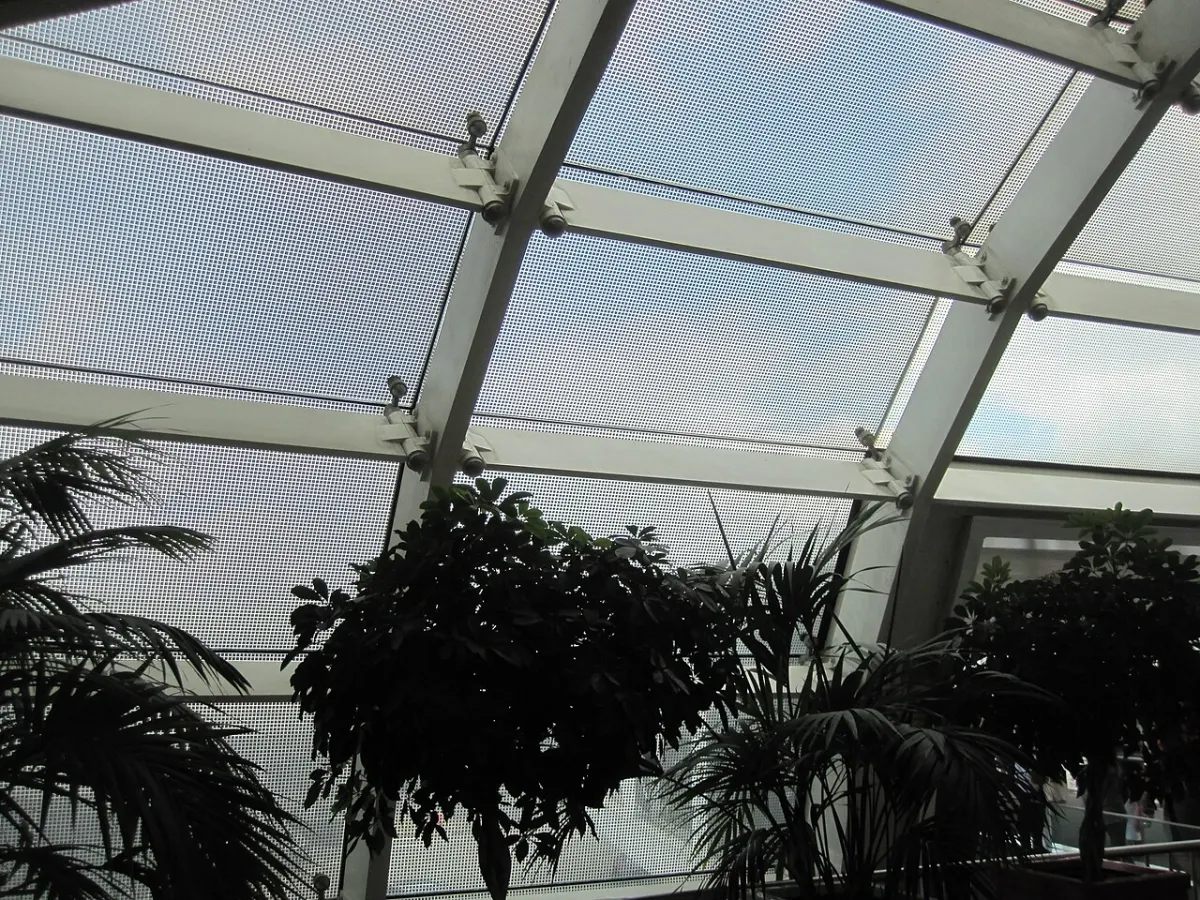 Online Plant Nursery Store - Potted Plants in CDG Terminal 2A Annex
