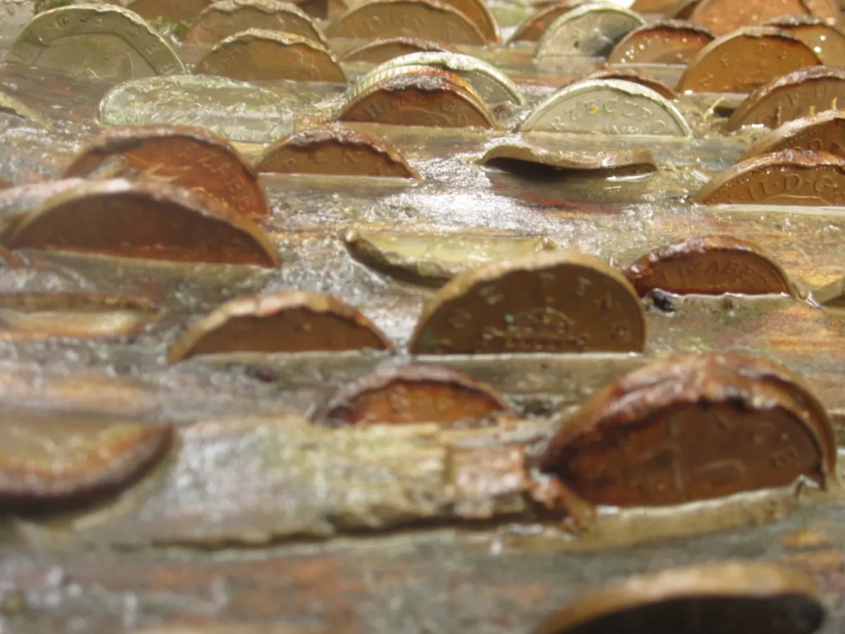 Personal Finance Dashboard - Coins in the Money Tree, Aira Force