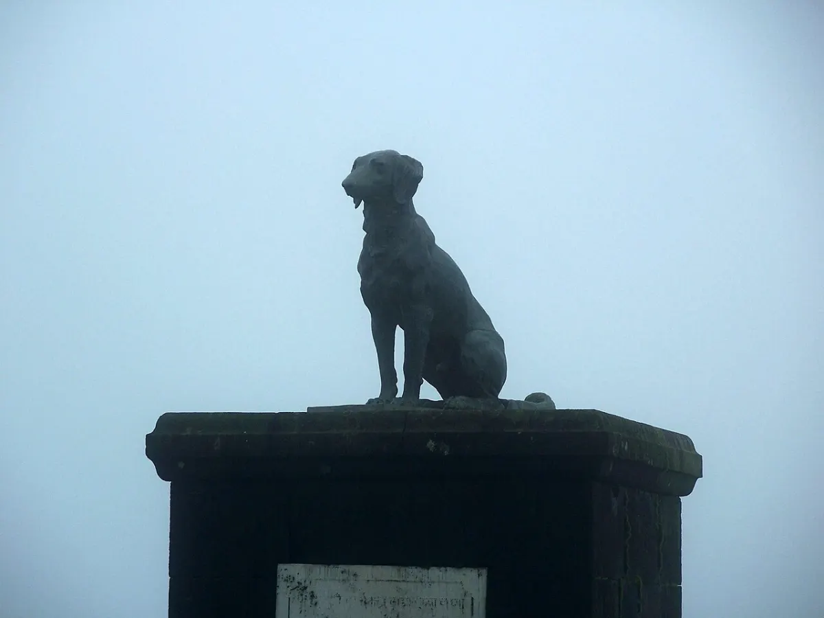 Pet Care App - Waghyaa (Tiger) the pet dog of Great Shivaji at Raigadh, Maharashtra, India