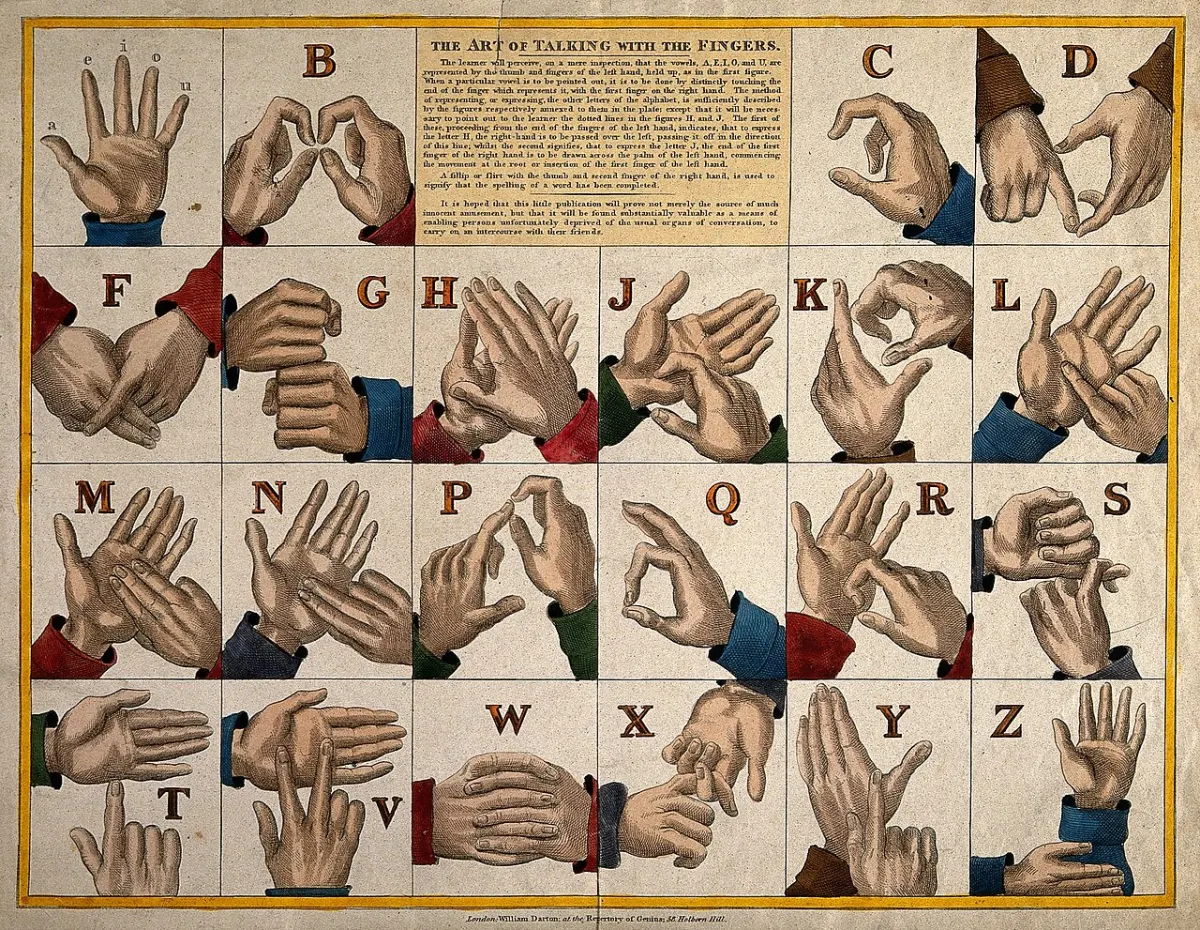 Sign Language Translator App project