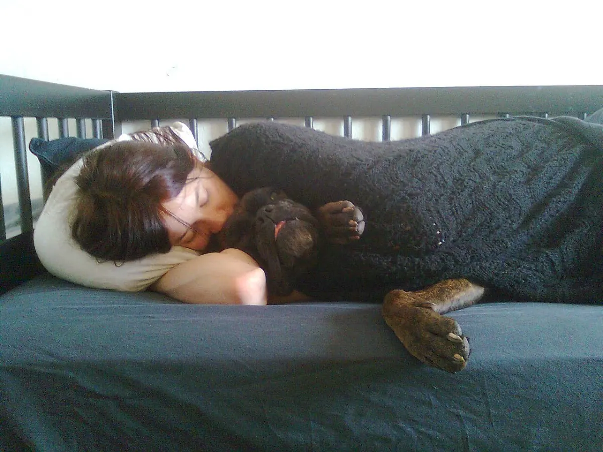 Sleep Tracker App - Human sleeping on a bed with a dog