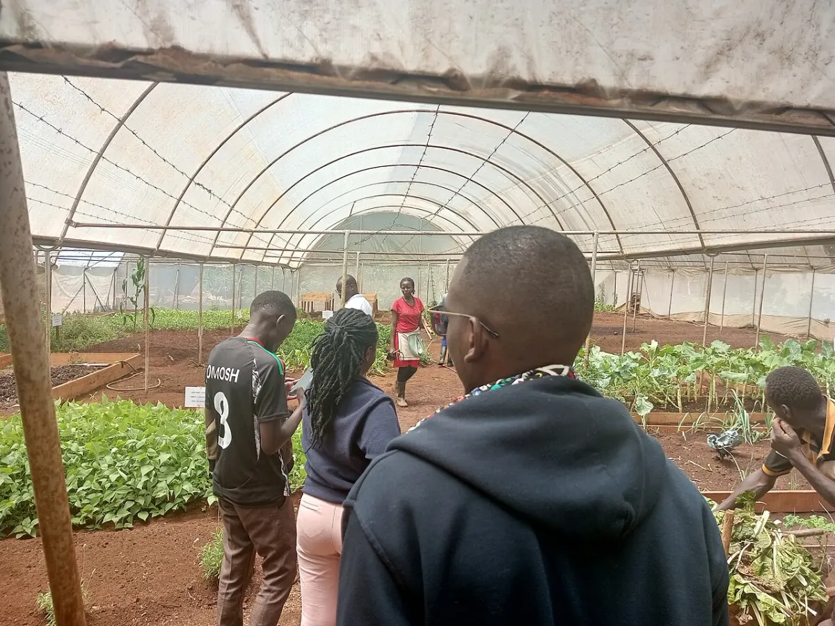 Smart Agriculture Monitoring - Greenhouse Farming