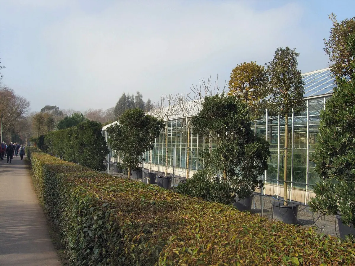 Smart Greenhouse project