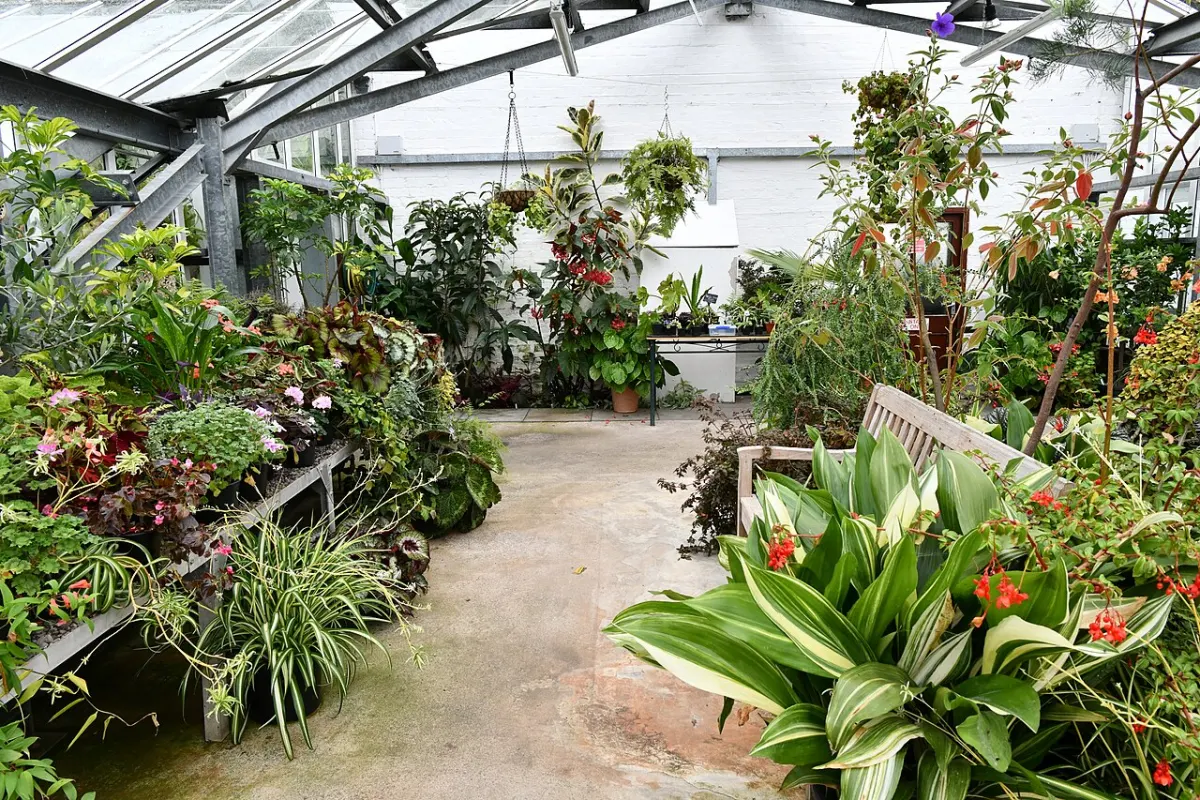 Smart Greenhouse - Threave Gardens Greenhouse, Various plants