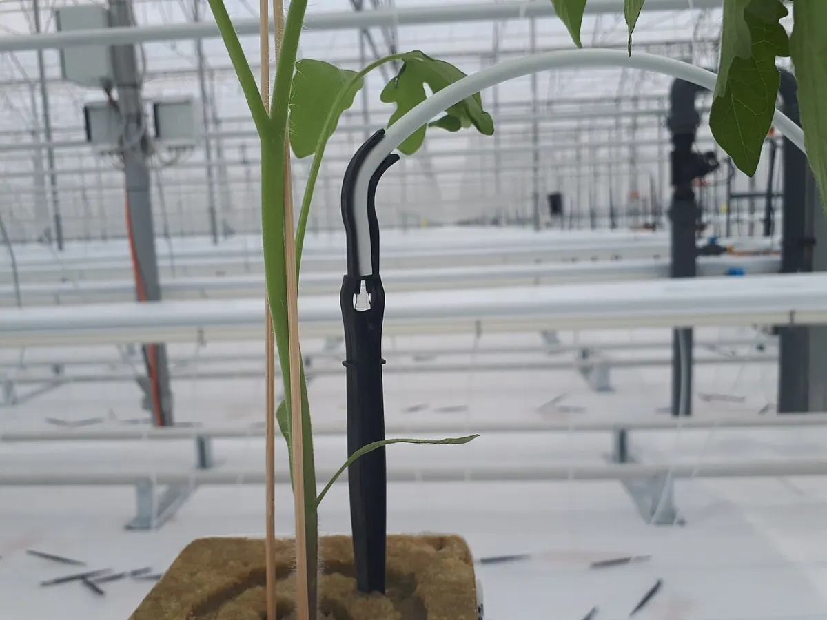 Smart Irrigation System - Drip irrigation (Armenia)