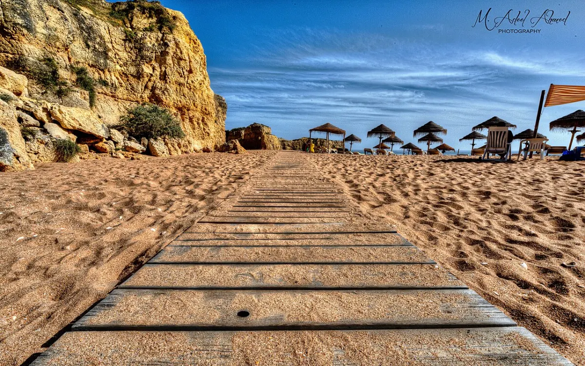Step Counter App - Walking Steps