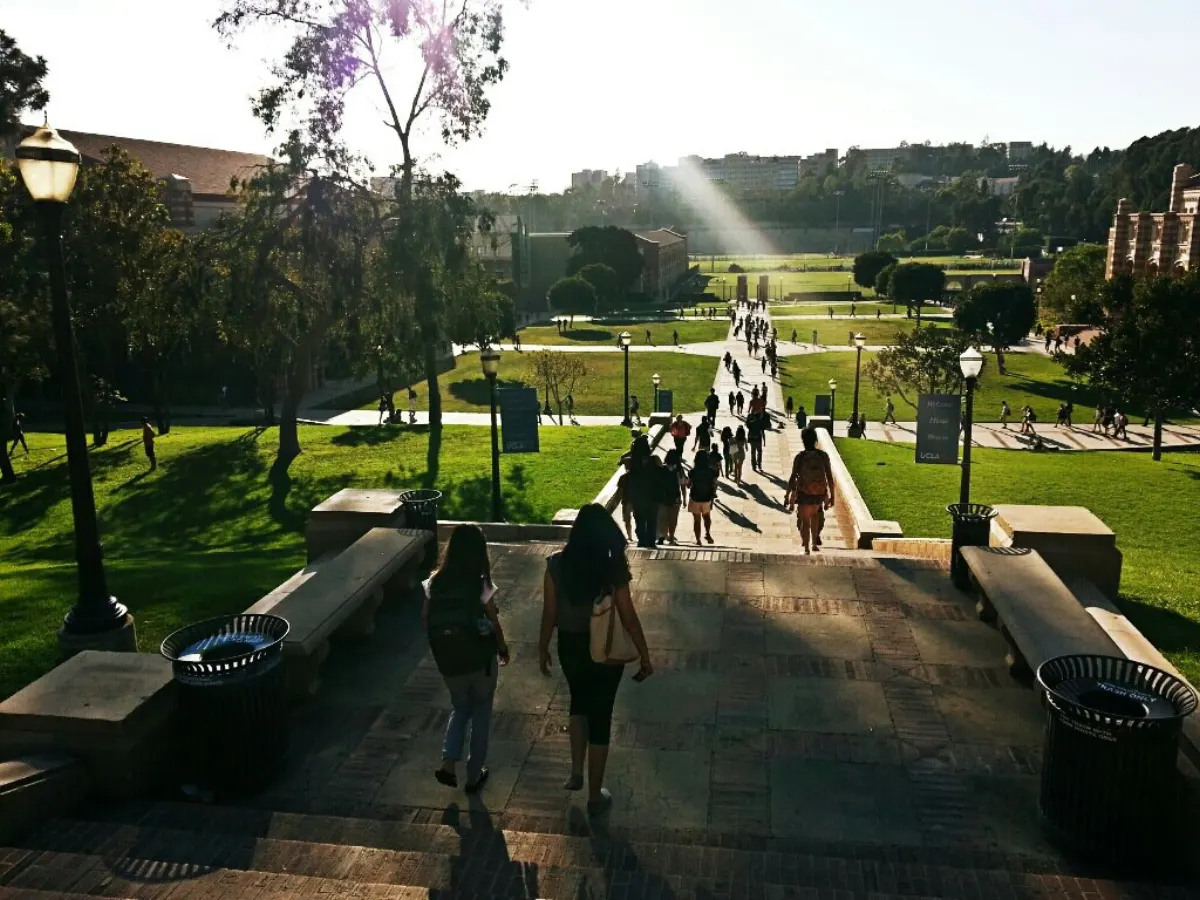 Step Counter App - Walking Down the Steps