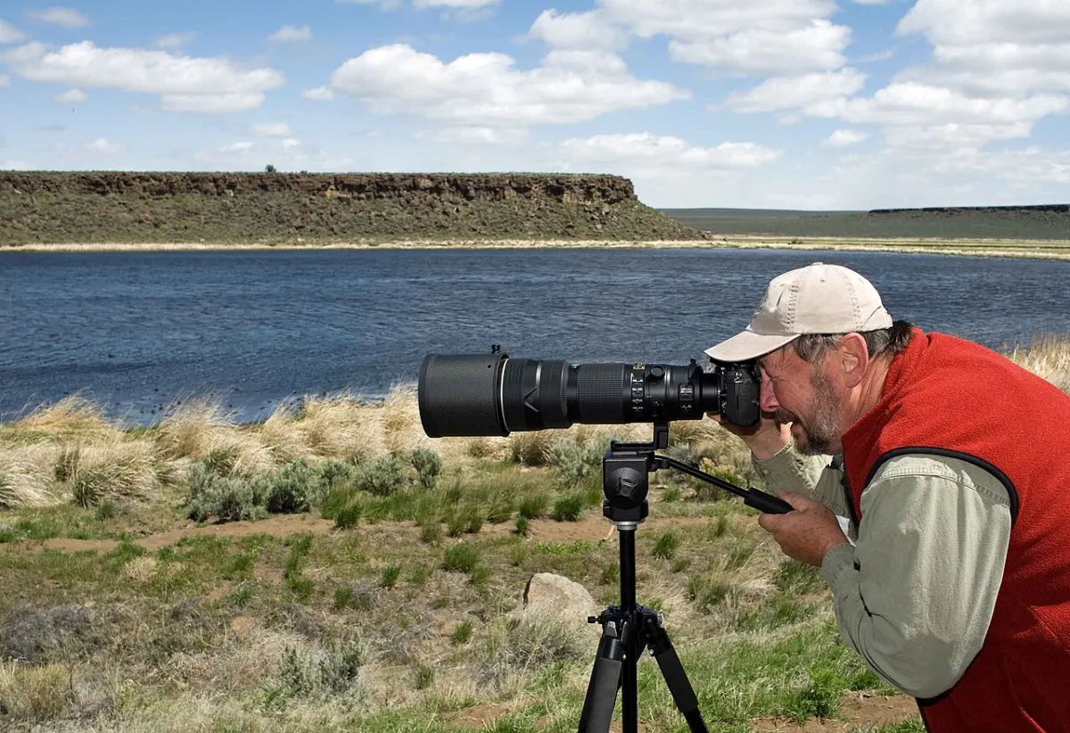 Stock Photo Marketplace - A professional photographer with photo camera records the images